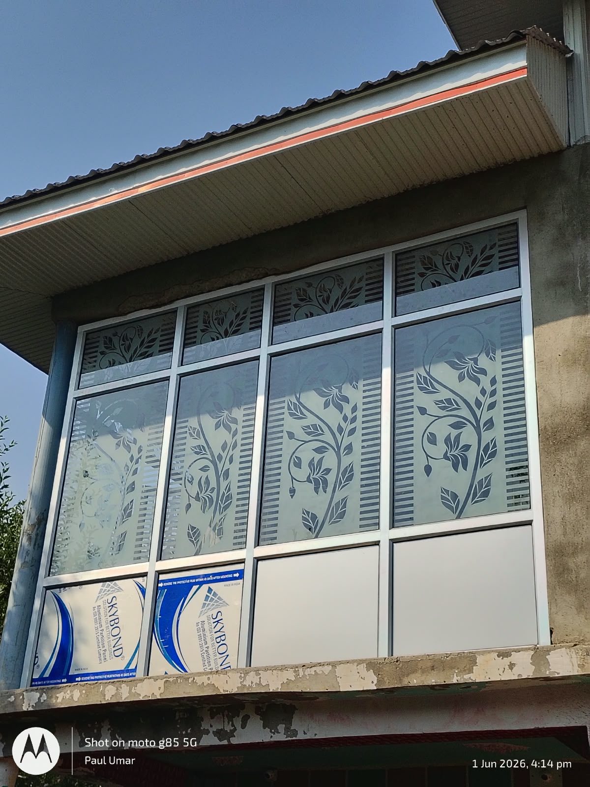 Frosted Glass Doors
